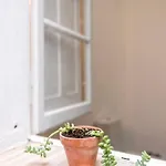 Traditional House: Private Pool And Sunny Terrace *