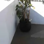 Traditional House: Private Pool And Sunny Terrace Βίλα Portimão