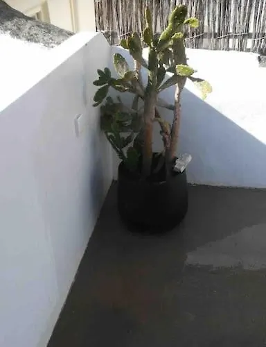 Traditional House: Private Pool And Sunny Terrace 别墅 波尔蒂芒